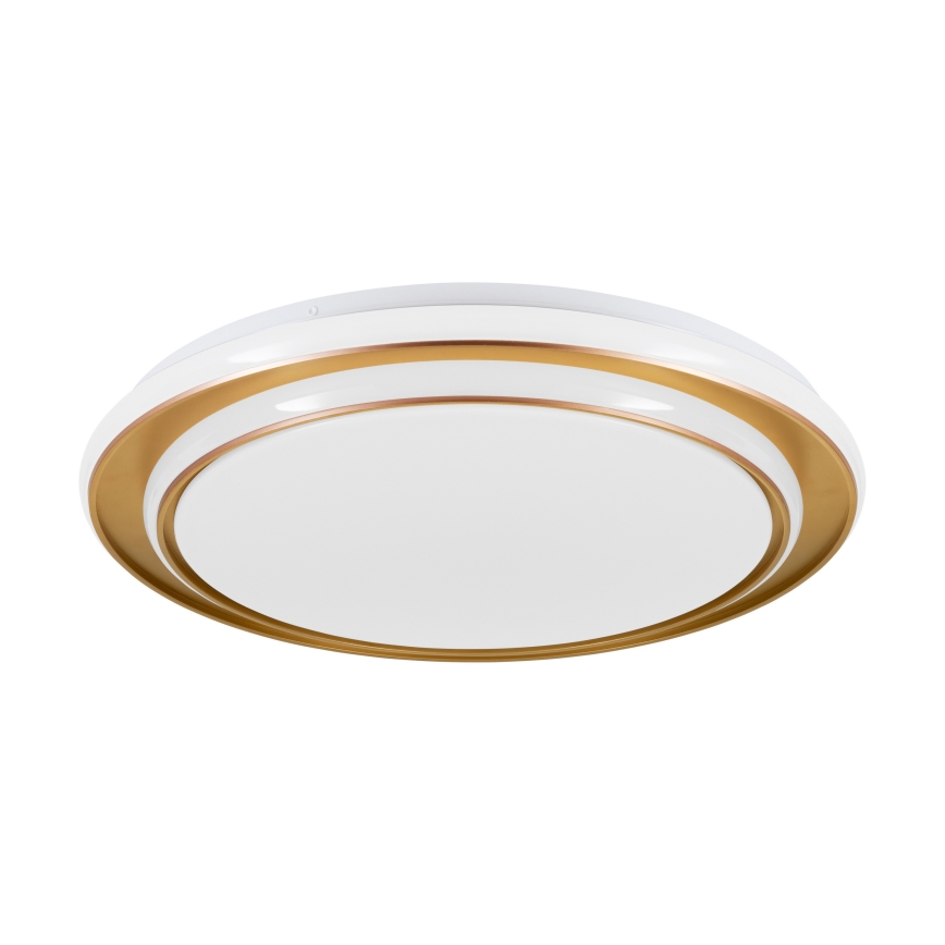 Eglo - Luminária de teto LED 36W/230V 2700/4000/6500K Ø 49 cm dourado