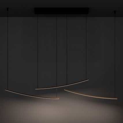 Eglo - Lustre pendente em cabo LED dimerizável LED/22W/230V 2700/4000/6500K dourado