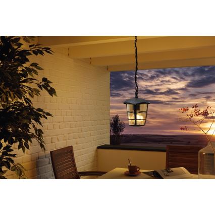 Eglo 93406 - Lustre LED exterior ALORIA 1xE27/8,5W/230V IP44