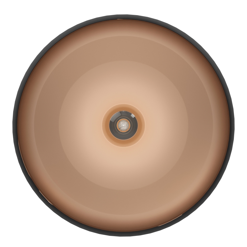 Eglo - Luz de teto 1xE27/60W/230V