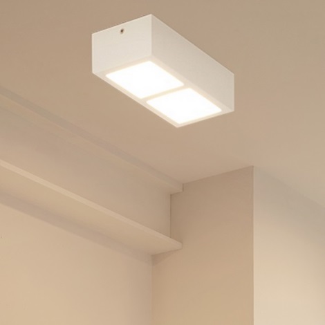 Eglo 95201 - Luz de teto LED COLEGIO 2xLED/4,2W/230V
