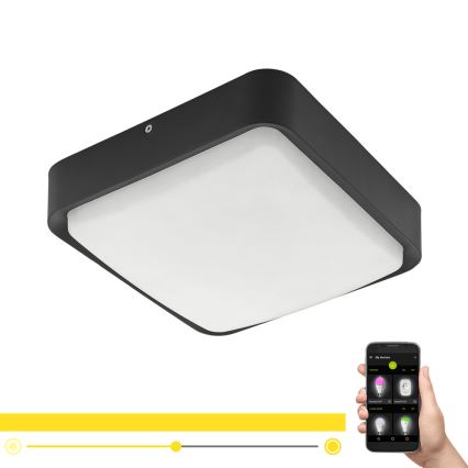 Eglo - Luminária de teto exterior LED regulável LED/14,6W/230V
