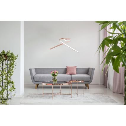 Eglo 97362 - Candelabro num fio LED PALOZZA 2xLED/11W/230V