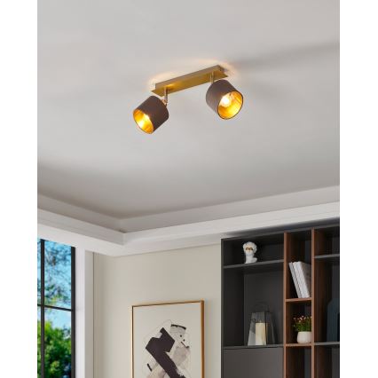 Eglo - Foco 2xE14/10W/230V