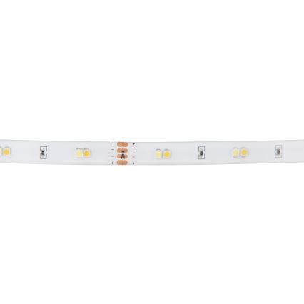 Eglo - Fita LED RGB Regulável LED/10W/230V IP20 2m