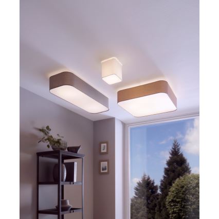 Eglo - Luz de teto 5xE27/25W/230V