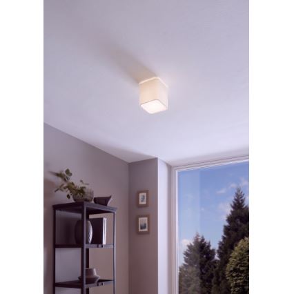 Eglo - Luz de teto 1xE27/28W/230V