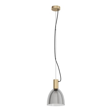 Eglo 99313 - Lustre LEBALIO suspenso por cabo 1xE27/40W/230V
