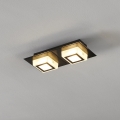 Eglo 99362 - Candeeiro de tecto LED MASIANO 2xLED/3,3W/230V
