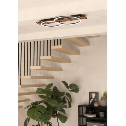 Eglo - Iluminação de teto LED 2xLED/12W/230V