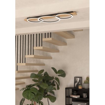 Eglo - Iluminação de teto LED 2xLED/12W/230V + LED/12W