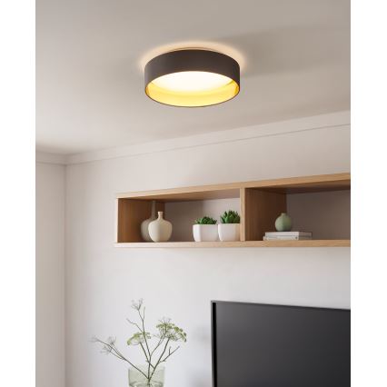 Eglo - Luz de teto LED LED/24W/230V