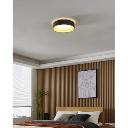 Eglo - Luz de teto LED LED/24W/230V