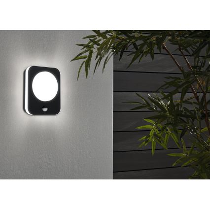 Eglo - Iluminação de parede exterior LED com sensor LED/9W/230V IP44