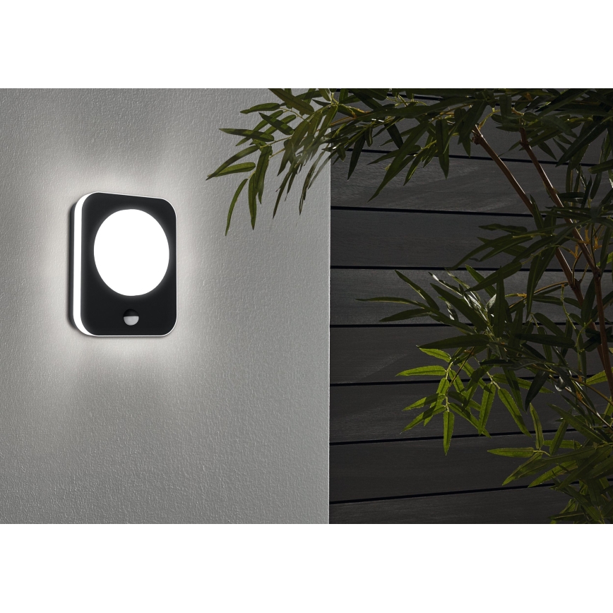 Eglo - Iluminação de parede exterior LED com sensor LED/9W/230V IP44