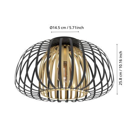 Eglo - Iluminação de teto 1xE27/40W/230V