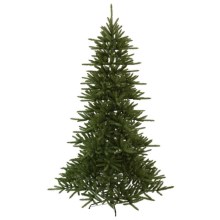 Eglo - Árvore de Natal 210 cm abeto