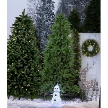 Eglo - Árvore de Natal 210 cm abeto