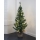 Eglo - Árvore de Natal LED 90 cm 50xLED/0,5W/3/230V