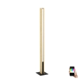 Eglo - Candeeiro de chão LED RGBW com regulação LED/35W/230V 2700-6500K