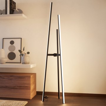 Eglo - Candeeiro de pé LED/30W/230V preto