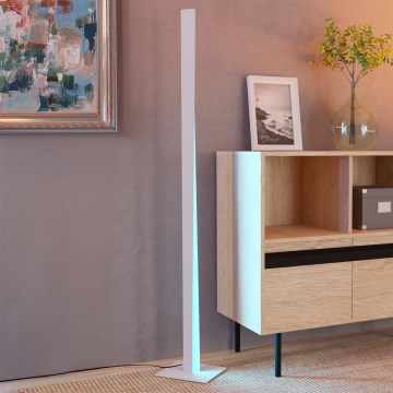 Eglo - Candeeiro de pé LED RGBW regulável LED/10,5W/230V + LED/15,2W cinzento