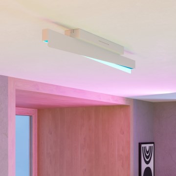 Eglo - Candeeiro de tecto LED RGBW dimerizável LED/13W/230V 2700-6500K cinzento