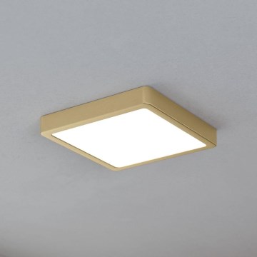 Eglo - Candeeiro de teto LED/17W/230V 21x21 cm