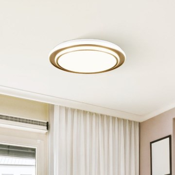Eglo - Candeeiro de teto LED/36W/230V Ø 49 cm dourado