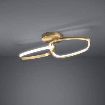 Eglo - Candeeiro integrado LED com regulação LED/25W/230V 3000K dourado