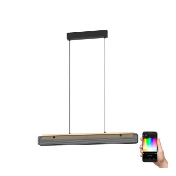 Eglo - Candeeiro suspenso LED RGBW com regulação LED/34W/230V 2700-6500K