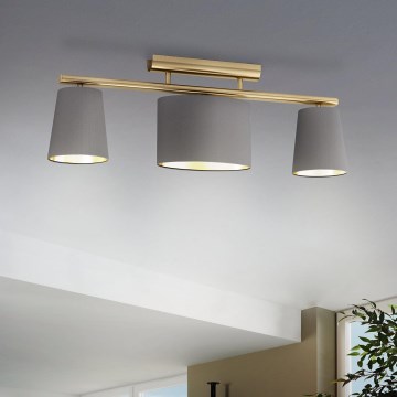 Eglo - Candelabro montado à superfície 3xE14/40W/230V