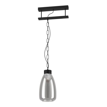 Eglo - Candelabro numa corrente 1xE27/40W/230V