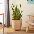 Eglo - Cesto decorativo 41x36 cm bege