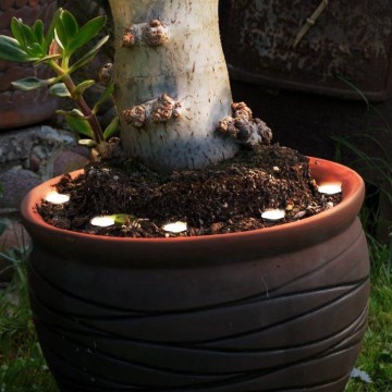 Eglo - Corrente decorativa exterior LED SPINETOLI 6xLED IP65