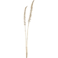Eglo - Flor artificial 71,5 cm dourado