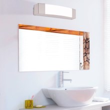 Eglo - Iluminação de espelho de casa de banho LED LED/8,3W/230V IP44