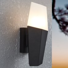 Eglo - Iluminação de parede exterior 1xE27/25W/230V IP44