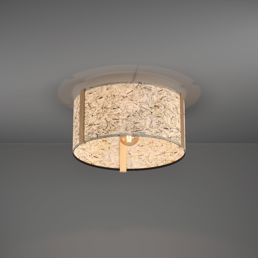 Eglo - Iluminação de teto 1xE27/25W/230V bege