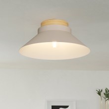 Eglo - Iluminação de teto 1xE27/40W/230V