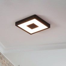 Eglo - Iluminação de teto exterior LED LED/17W/230V IP44 preto