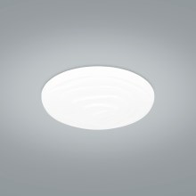 Eglo - Iluminação de teto LED com regulação LED/17,4W/230V + controlo remoto