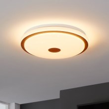 Eglo - Iluminação de teto LED com regulação LED/24W/230V + controlo remoto
