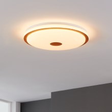Eglo - Iluminação de teto LED com regulação LED/35W/230V + controlo remoto