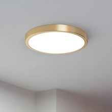 Eglo - Iluminação de teto LED LED/20,5W/230V diâmetro 28,5 cm