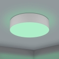 Eglo - Iluminação de teto LED RGBW com regulação LED/35W/230V 2700-6500K cinzento
