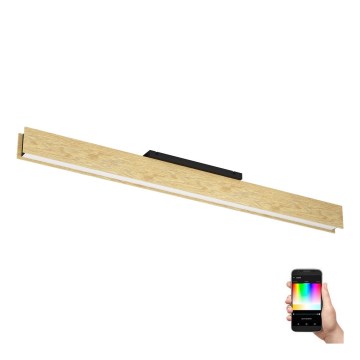 Eglo - Iluminação de teto LED RGBW com regulação LED/35W/230V 2700-6500K