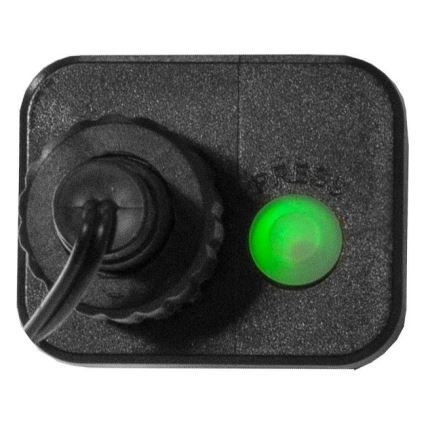 Eglo 472-53 - Guirlanda luminosa de Natal LED para exterior BERRY MINI 700 LEDs/8 funções 19 m multicolorido IP44