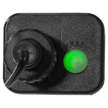 Eglo - Guirlanda de Natal LED para exterior 300 LEDs/8 funções 11m IP44 multicolorido