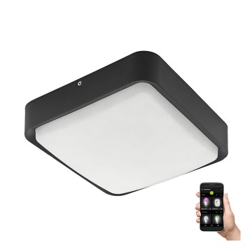 Eglo - Luminária de teto exterior LED regulável LED/14,6W/230V